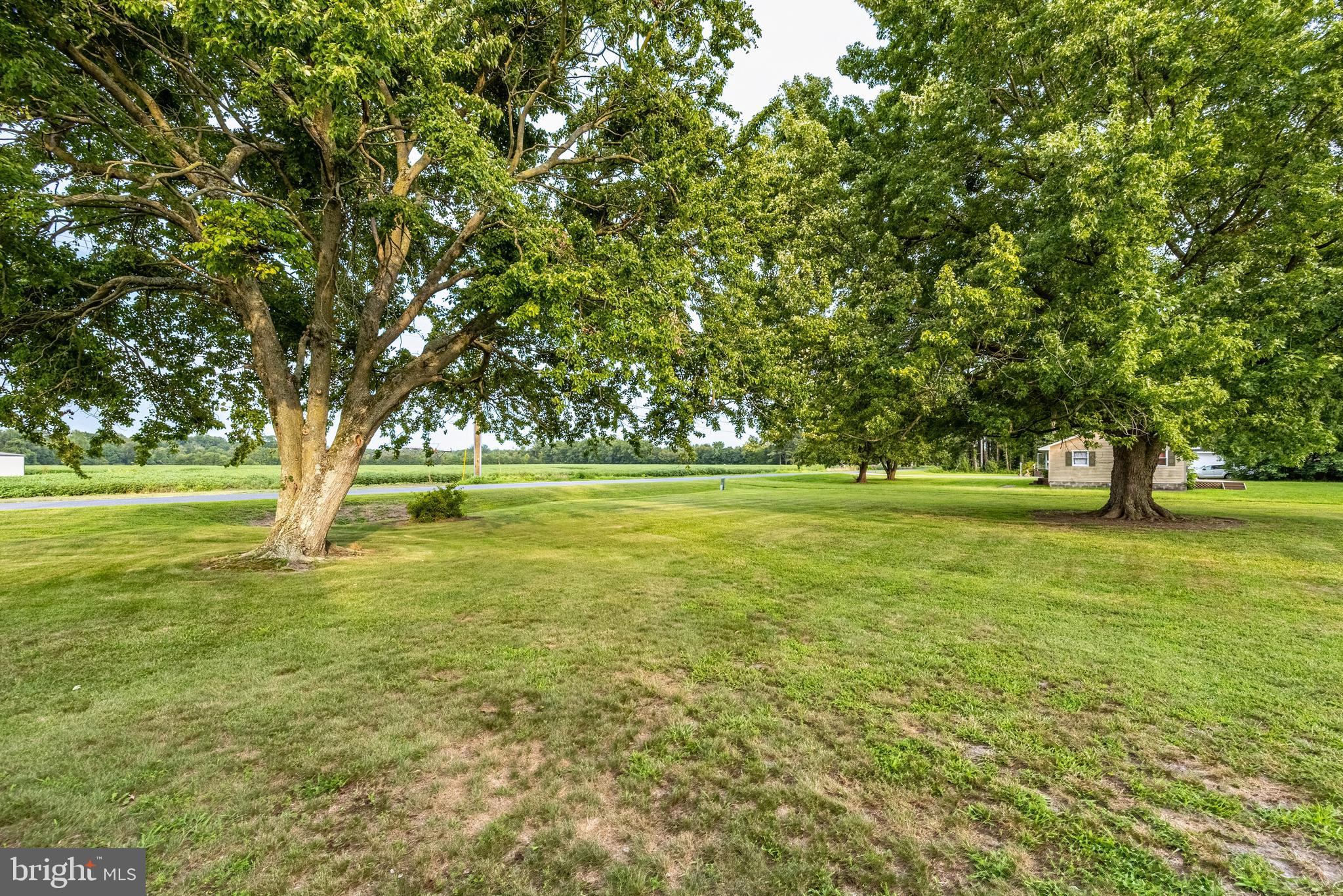 6986 Bent Pine Road Willards, MD 21874 - Photo 64 of 65 Gallery Image 64