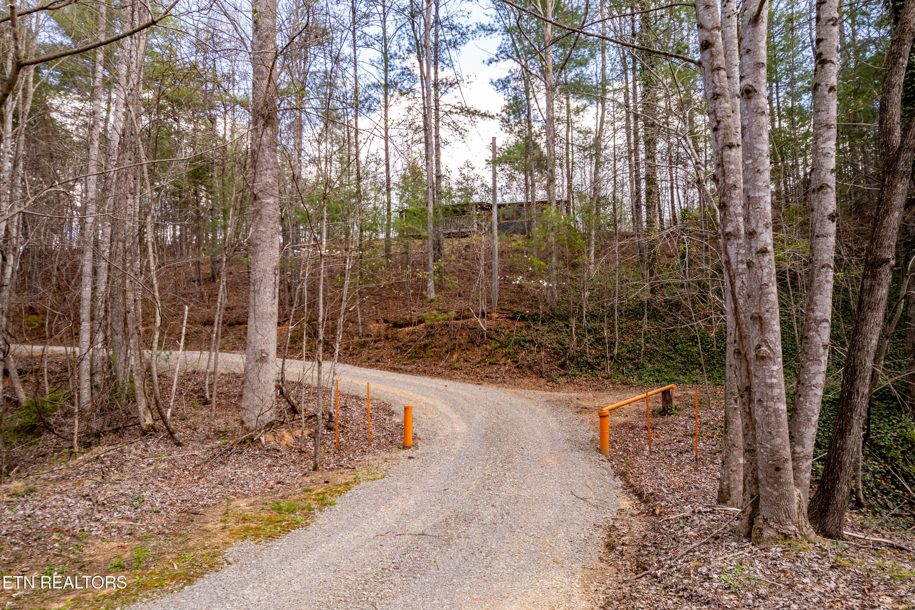 1700 Rafter Road Tellico Plains, TN 37385 - Photo 27 of 60 1700RafterRd-16