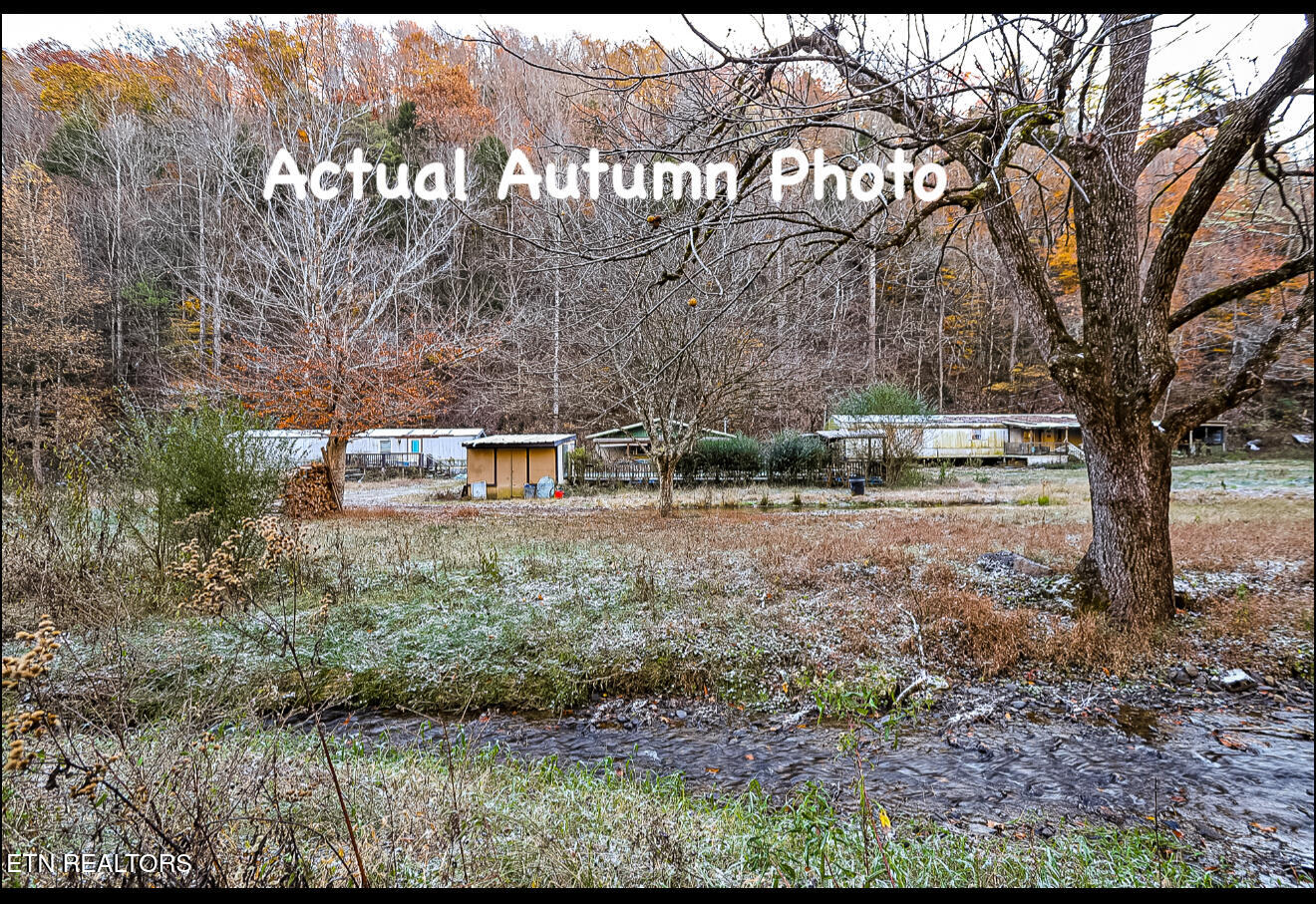 553 Caney Creek Road Pigeon Forge, TN 37863 - Photo 11 of 41 IMG_3374