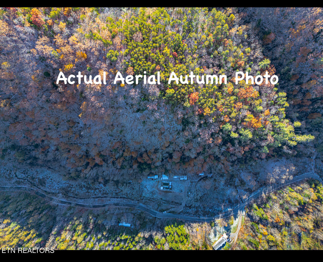 553 Caney Creek Road Pigeon Forge, TN 37863 - Photo 14 of 41 IMG_3372