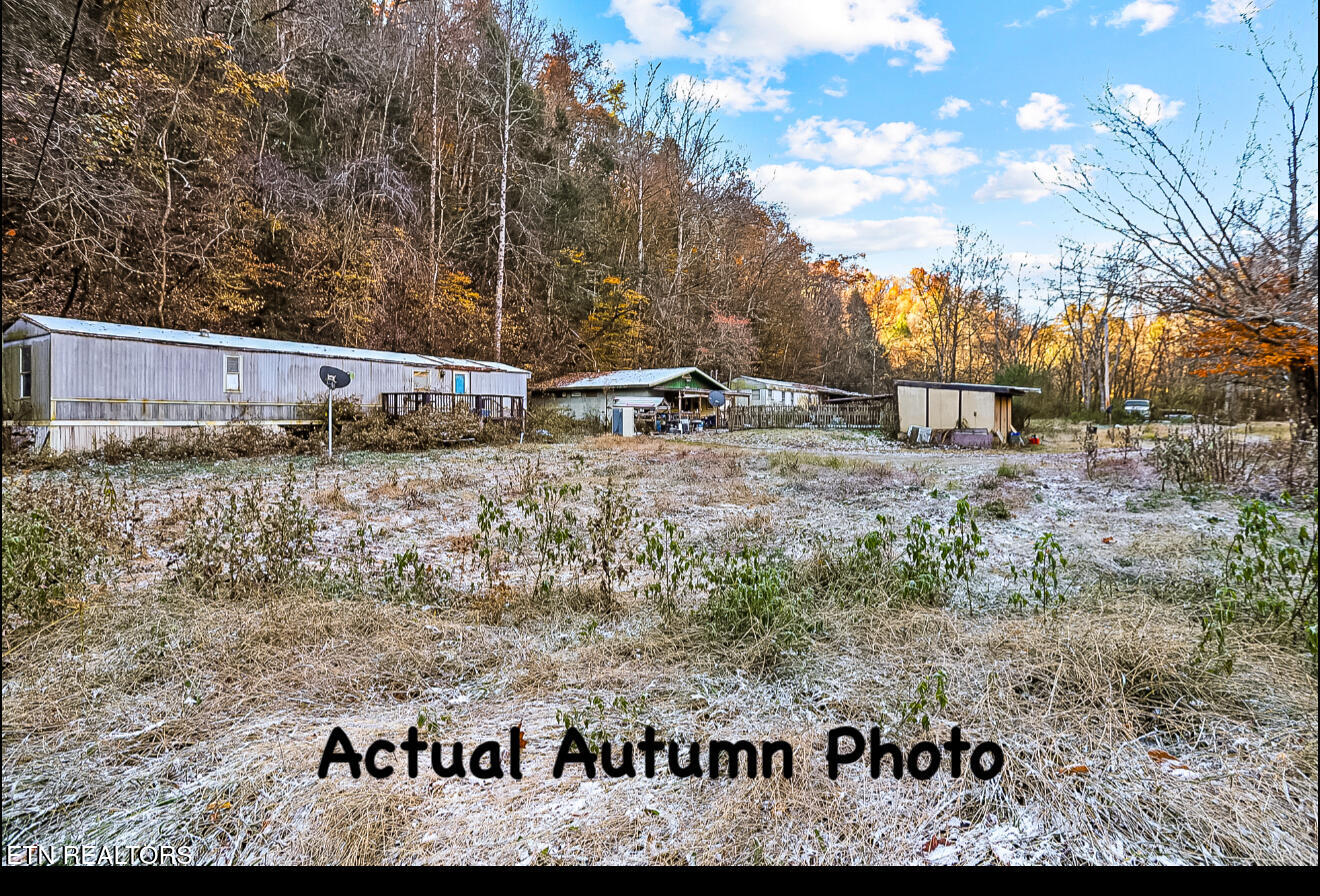 553 Caney Creek Road Pigeon Forge, TN 37863 - Photo 16 of 41 IMG_3368