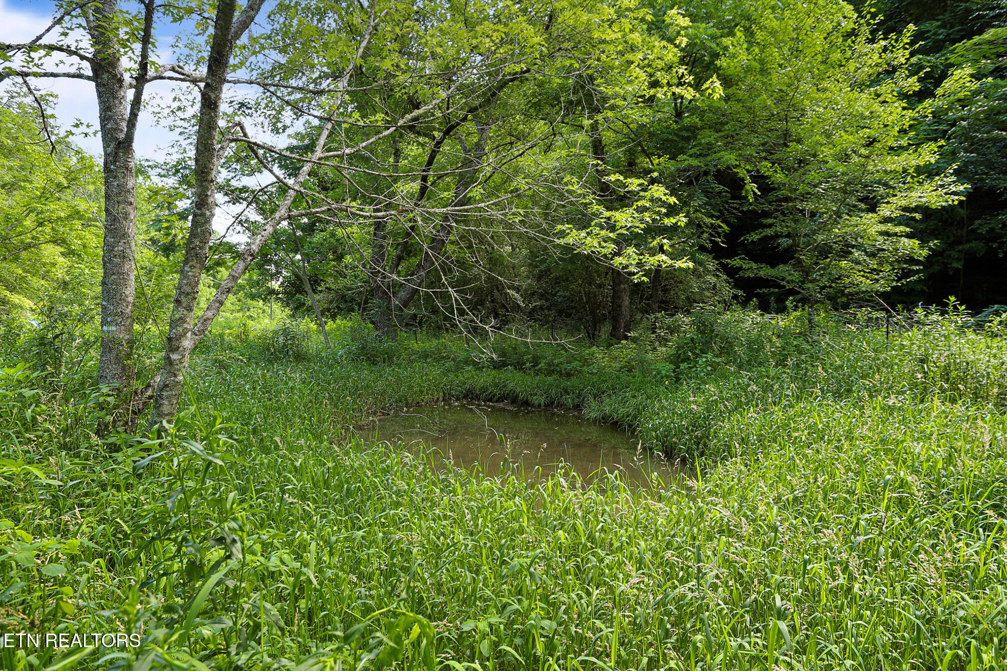 553 Caney Creek Road Pigeon Forge, TN 37863 - Photo 17 of 41 555 Caney Creek-56