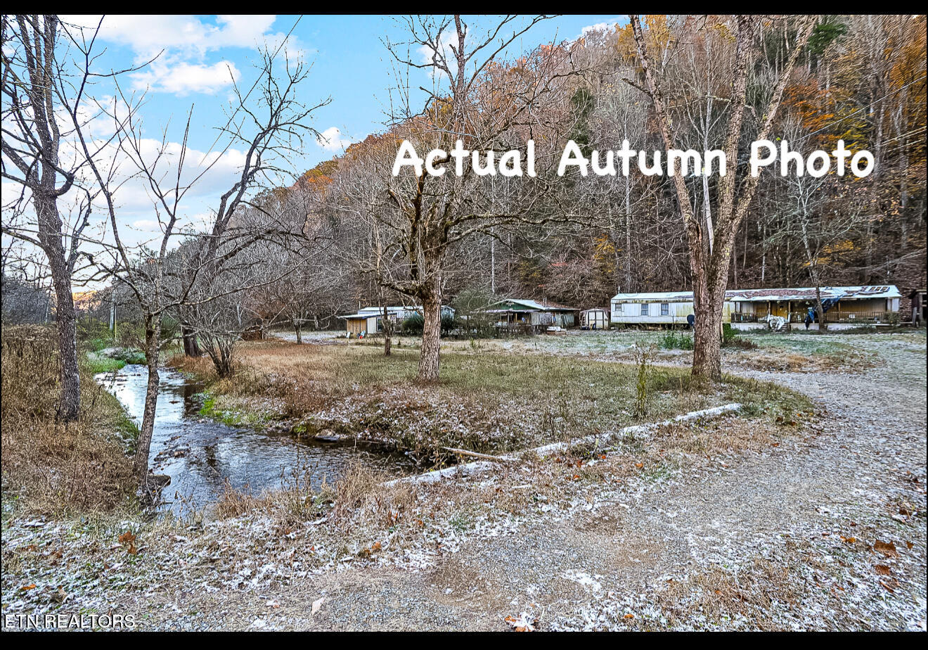 553 Caney Creek Road Pigeon Forge, TN 37863 - Photo 8 of 41 IMG_3377