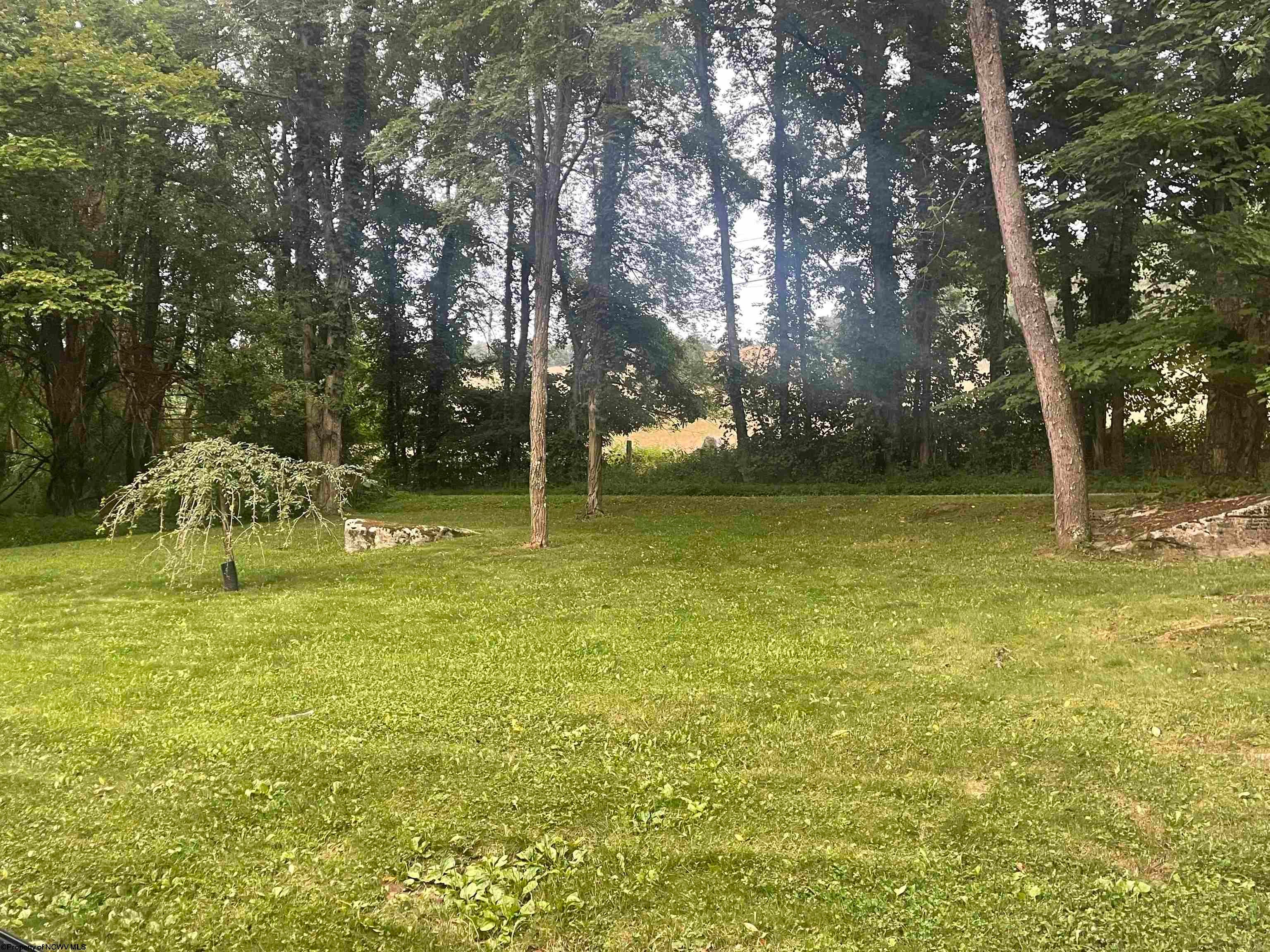 443 Miller Road Albright, WV 26519 - Photo 9 of 43 Gallery Image 9