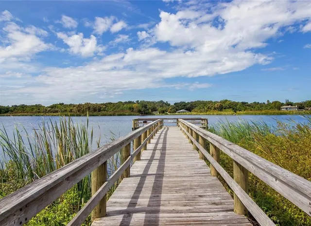 a view of city and lake