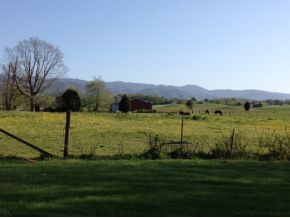 995 Shaw Road Chuckey, TN 37641 - Photo 8 of 9 Mountain View