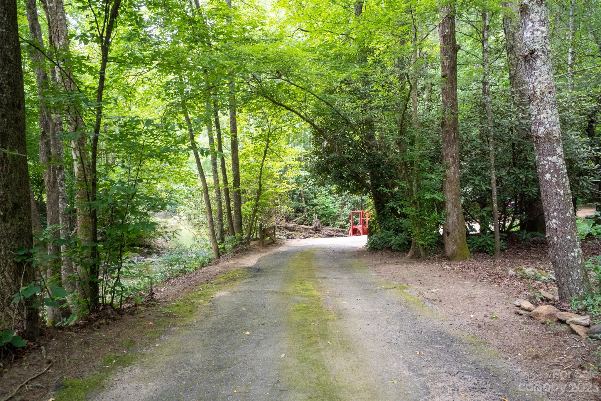 5646 Highway 18 Morganton, NC 28655 - Photo 2 of 37 a view of a forest with trees in the background