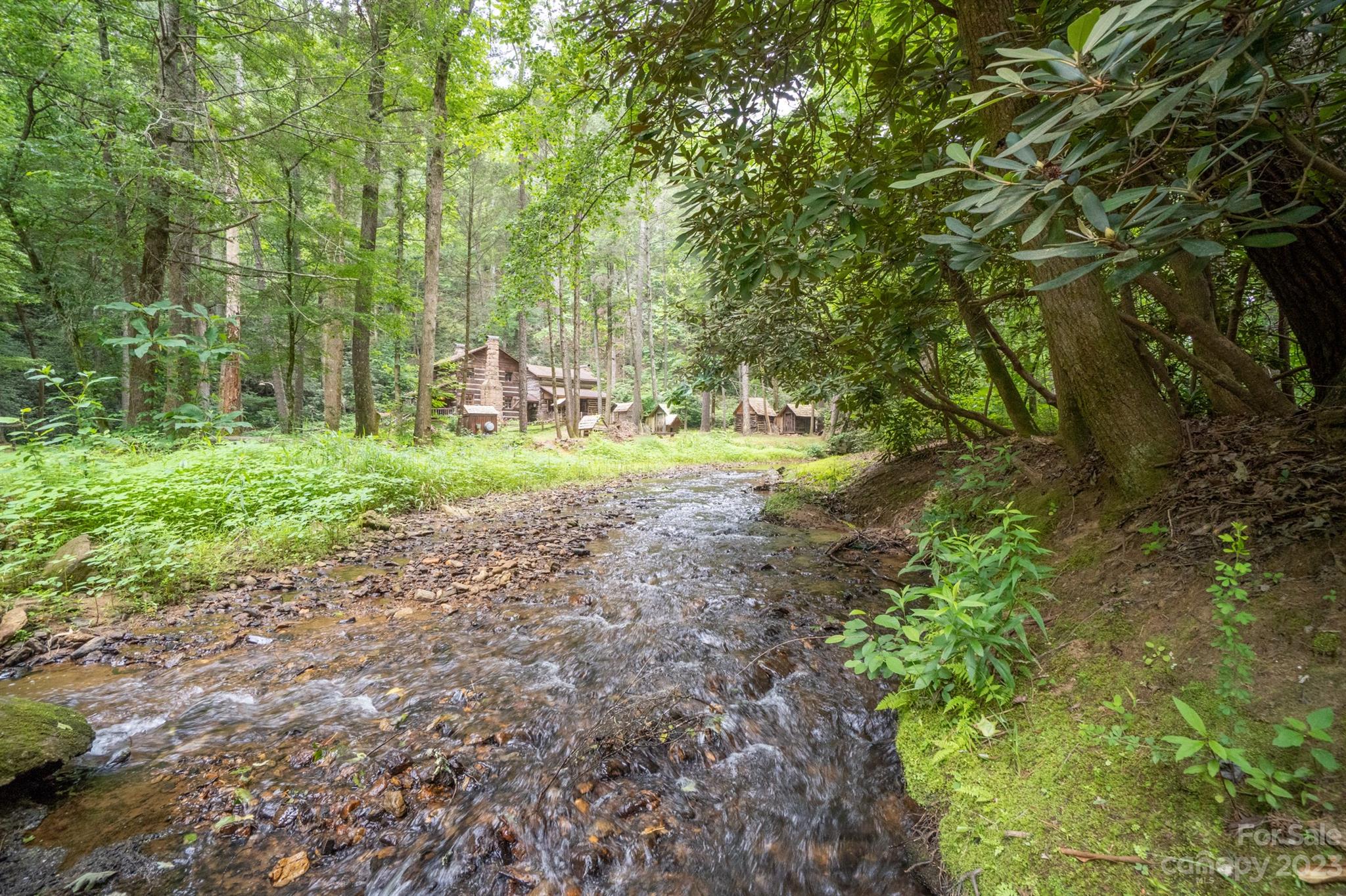 5646 Highway 18 Morganton, NC 28655 - Photo 6 of 37 a big yard with lots of green space and deers