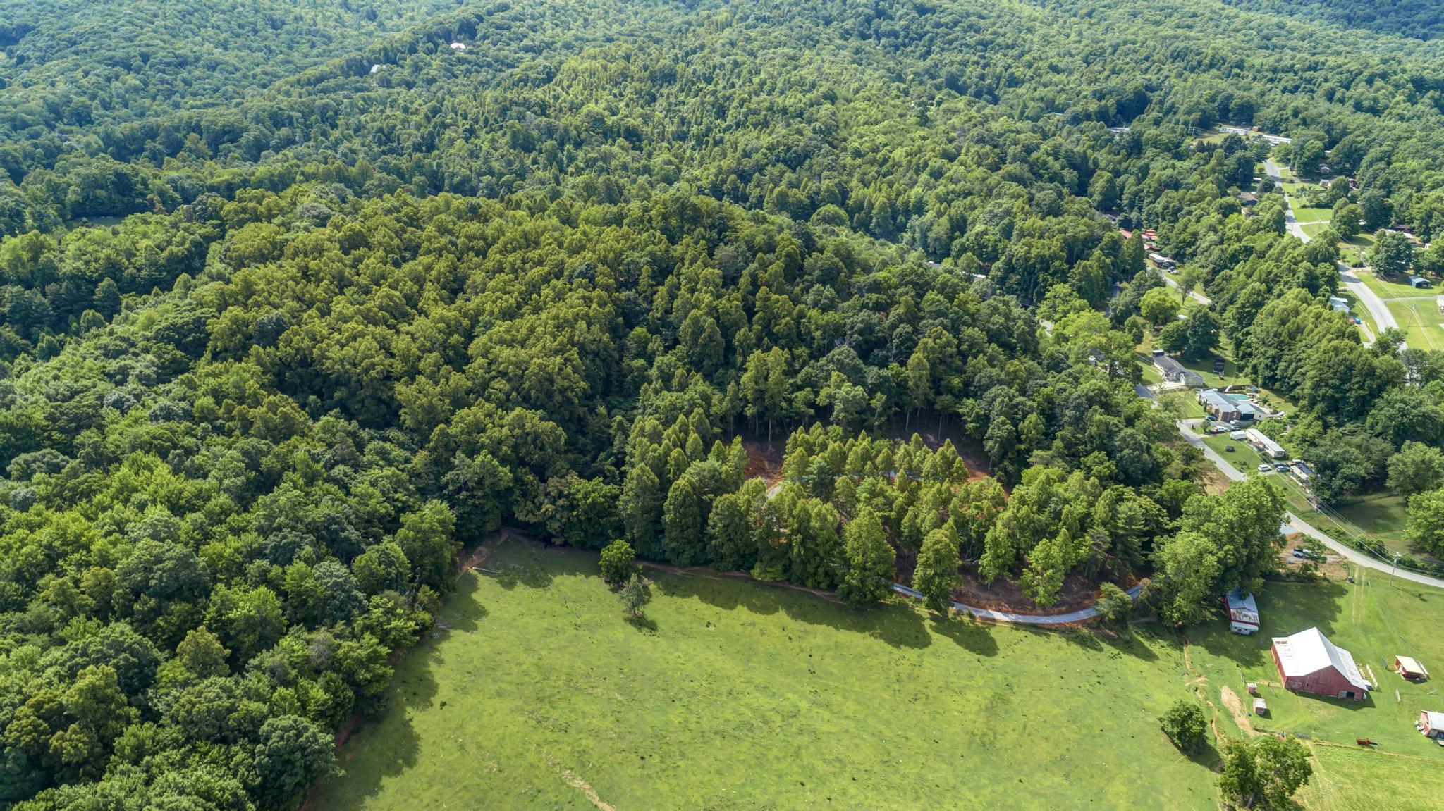 Lot 1 Powder Branch Road Johnson City, TN 37601 - Photo 4 of 19 1890PowderBranchDrone4