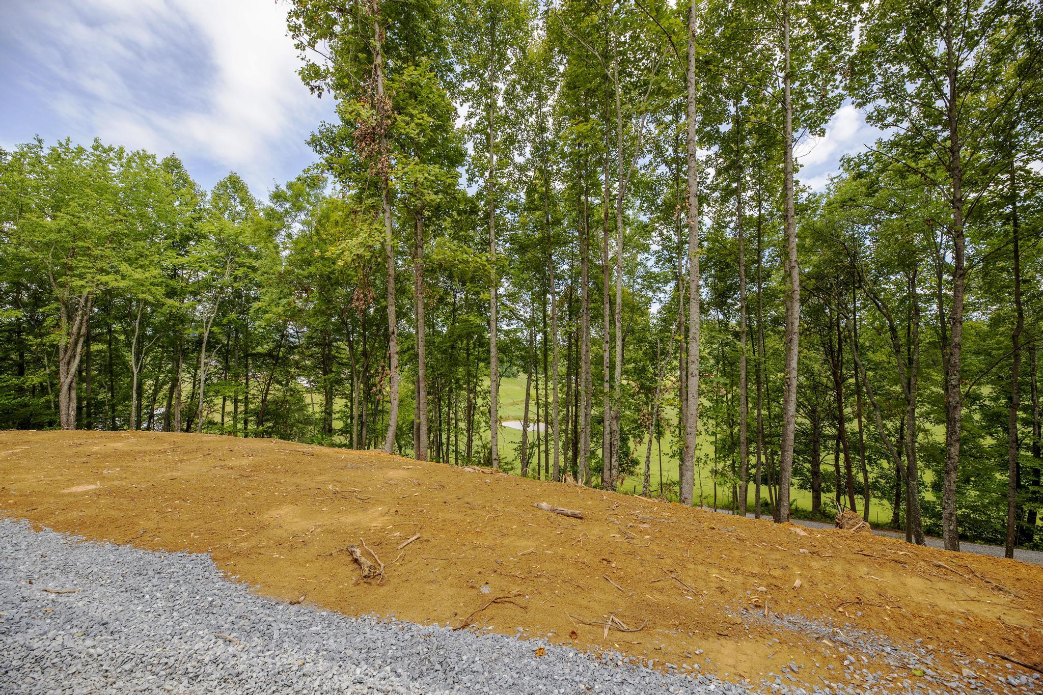 Lot 1 Powder Branch Road Johnson City, TN 37601 - Photo 8 of 19 1890PowderBranch2