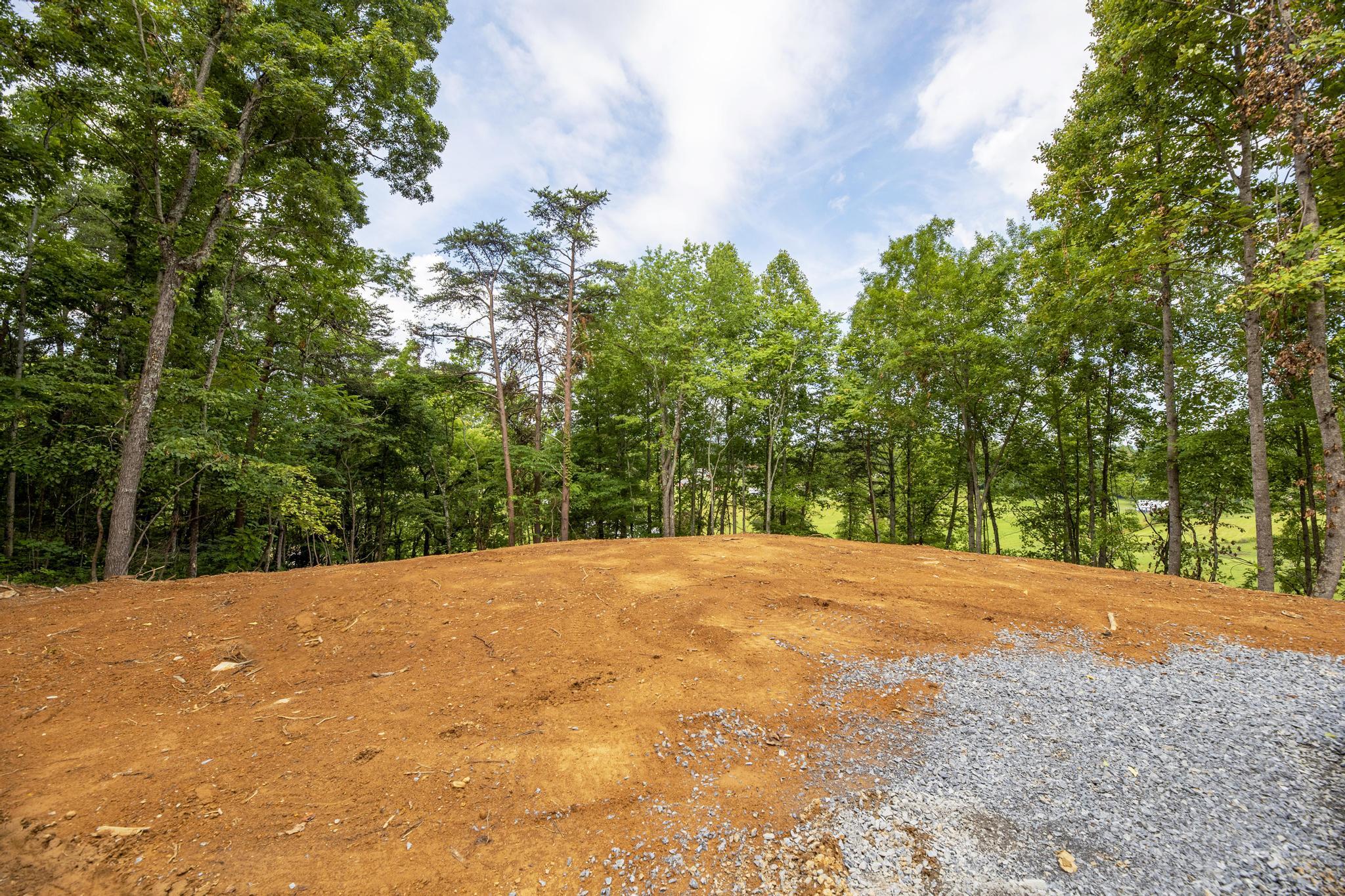 Lot 1 Powder Branch Road Johnson City, TN 37601 - Photo 10 of 19 1890PowderBranch4