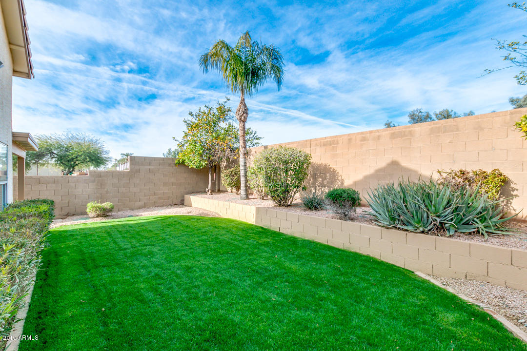7292 South Roberts Road Tempe, AZ 85283 - Photo 34 of 38 a view of a yard with palm tree