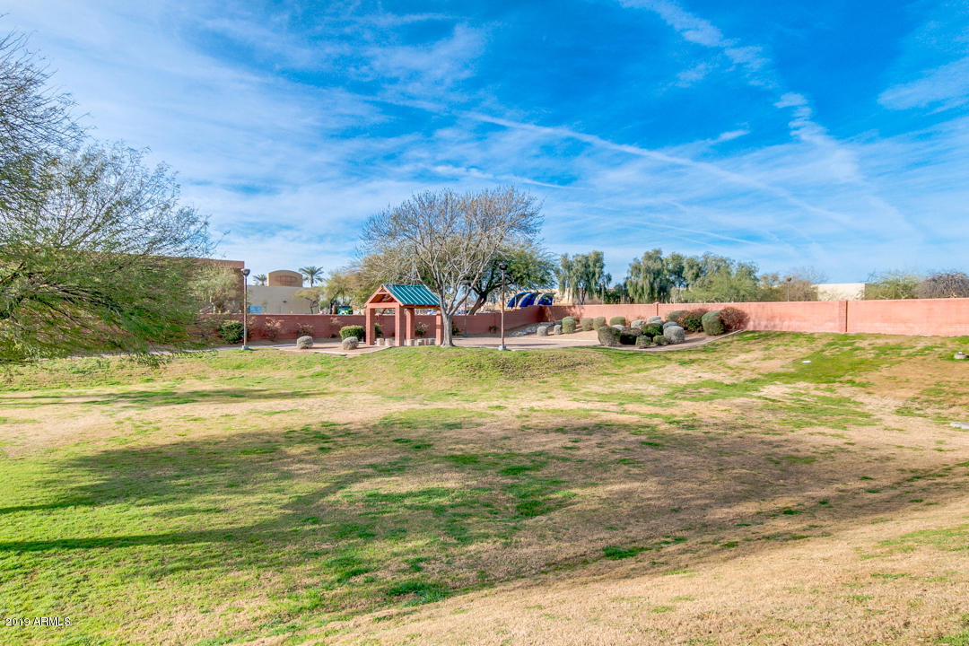 7292 South Roberts Road Tempe, AZ 85283 - Photo 8 of 38 a view of a water with an outdoor space
