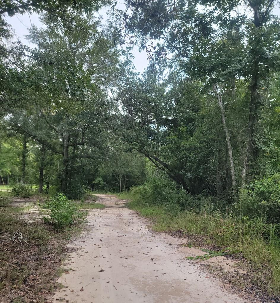 0 Coot Adams Road Ashford, AL 36312 - Photo 1 of 11 Main View