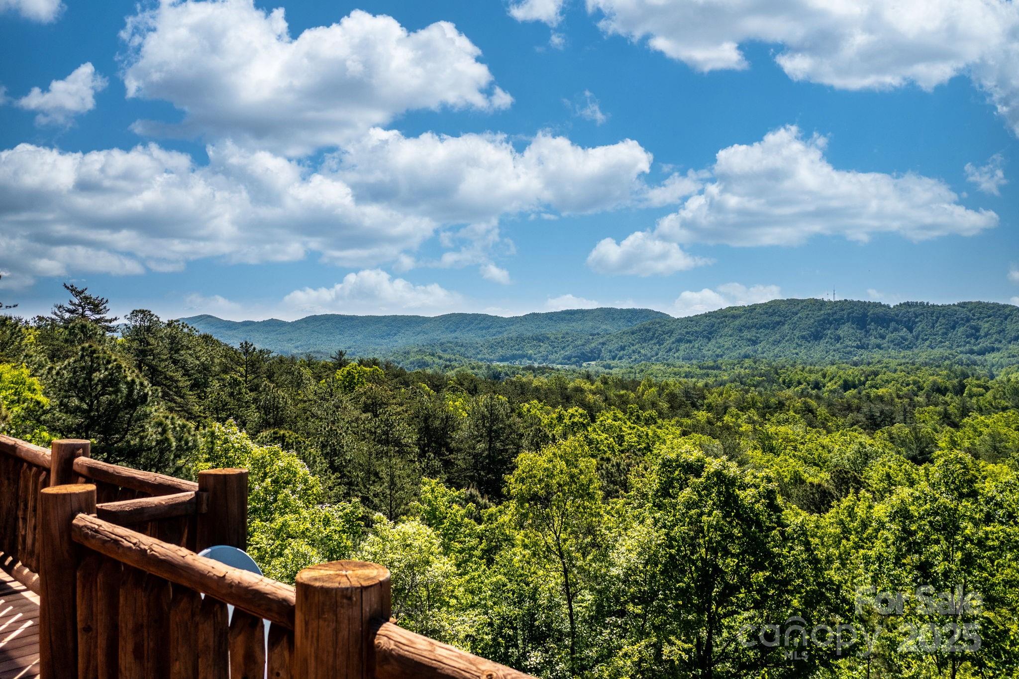 2464 Scarlett Ridge Way Lenoir, NC 28645 - Photo 40 of 41