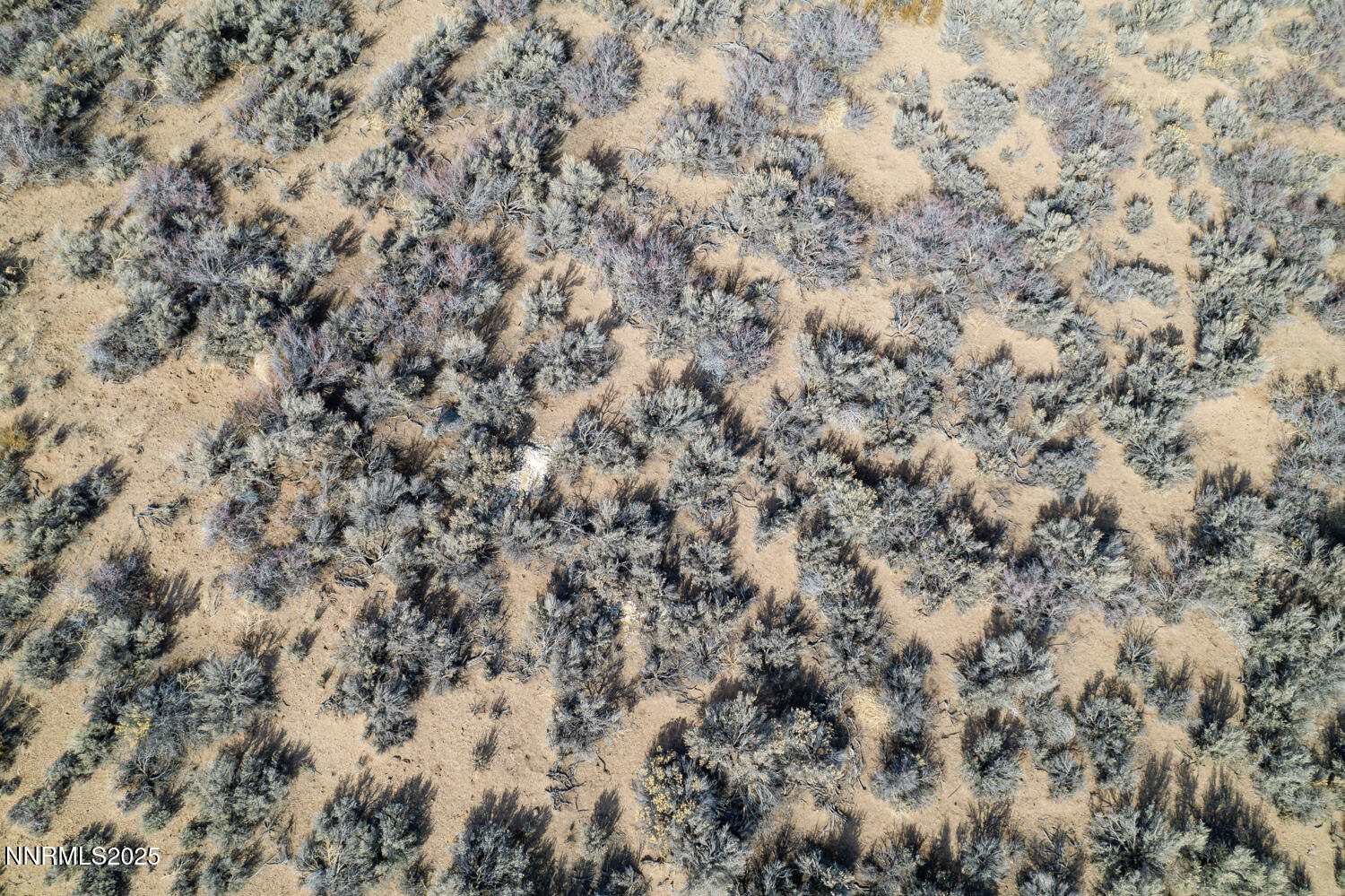 1173 Kimmerling Road Gardnerville, NV 89460 - Photo 24 of 26 a view of a field