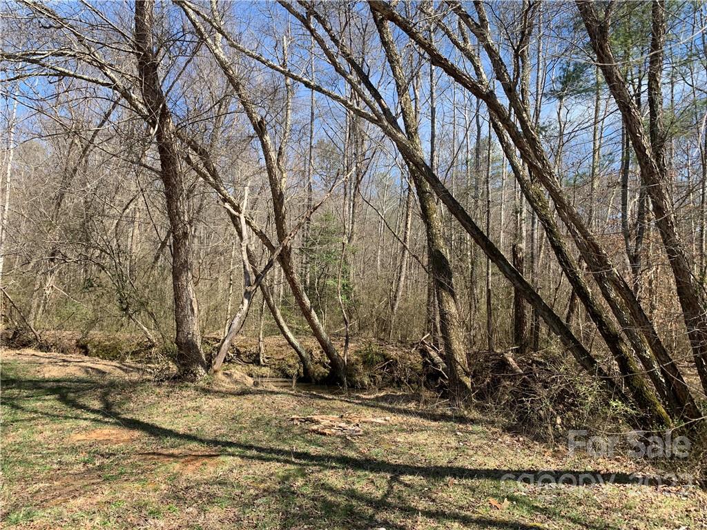 1289 Hopewell Church Road Hiddenite, NC 28636 - Photo 48 of 48 a view of a yard with trees