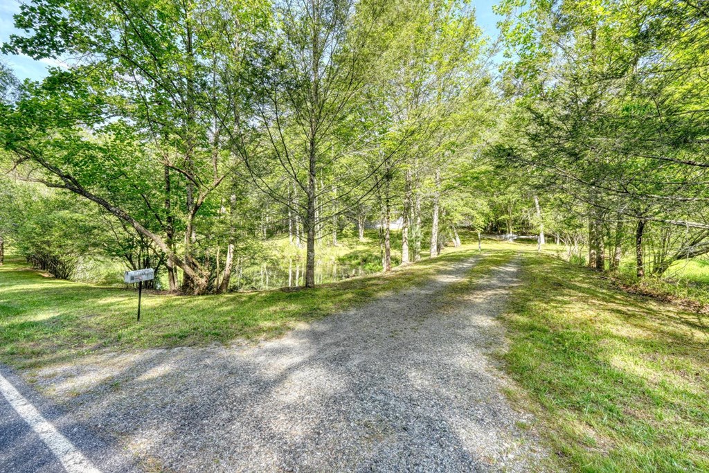 1493 Greasy Creek Road Brasstown, NC 28902 - Photo 40 of 51