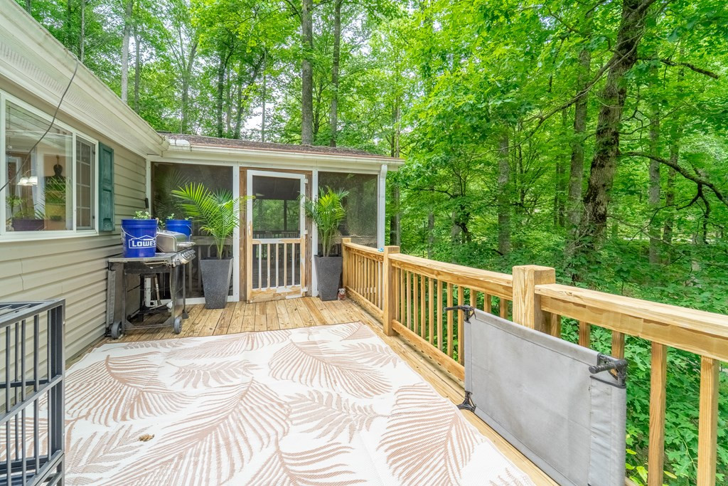 224 Cochrans Cr Road Robbinsville, NC 28771 - Photo 23 of 42