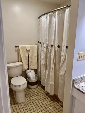 a white toilet sitting next to a shower curtain