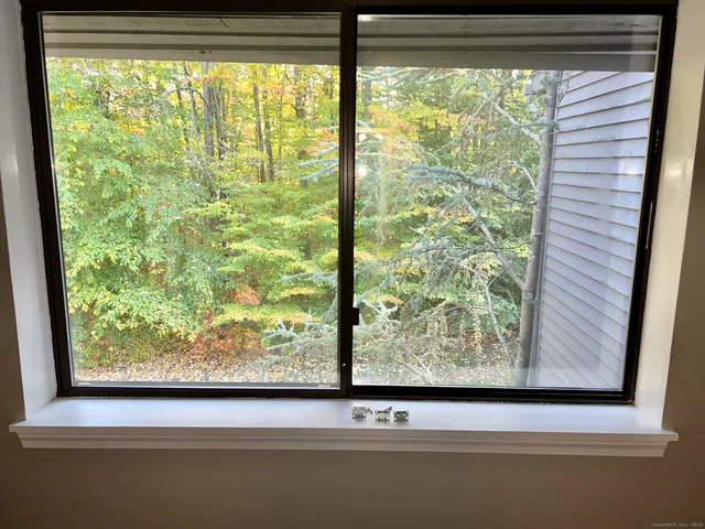 a view of a forest from a window