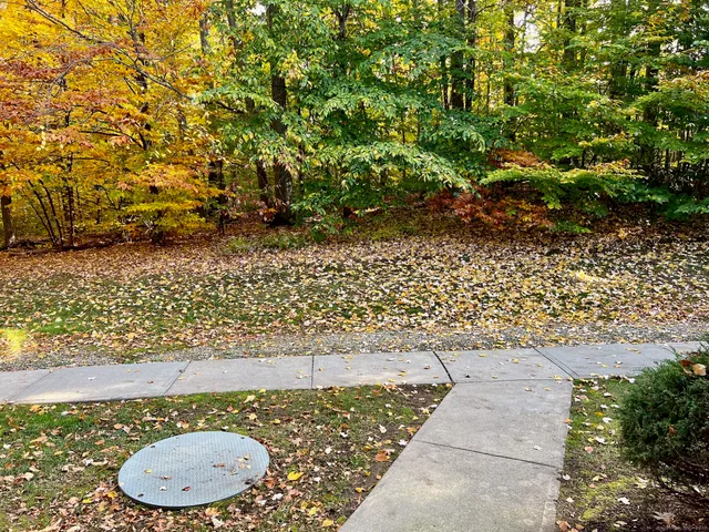 a bathroom with a toilet
