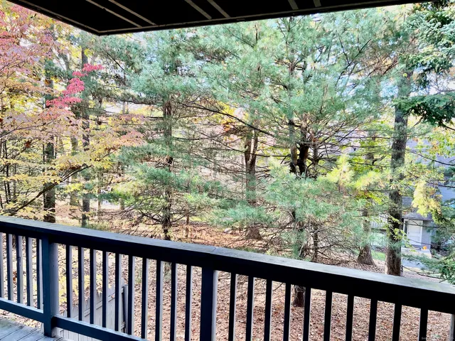 a view of a forest from a balcony