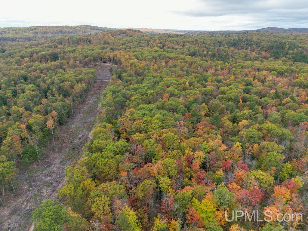 Off McClure Dm Road Negaunee, MI 49866 - Photo 9 of 29 Gallery Image 9