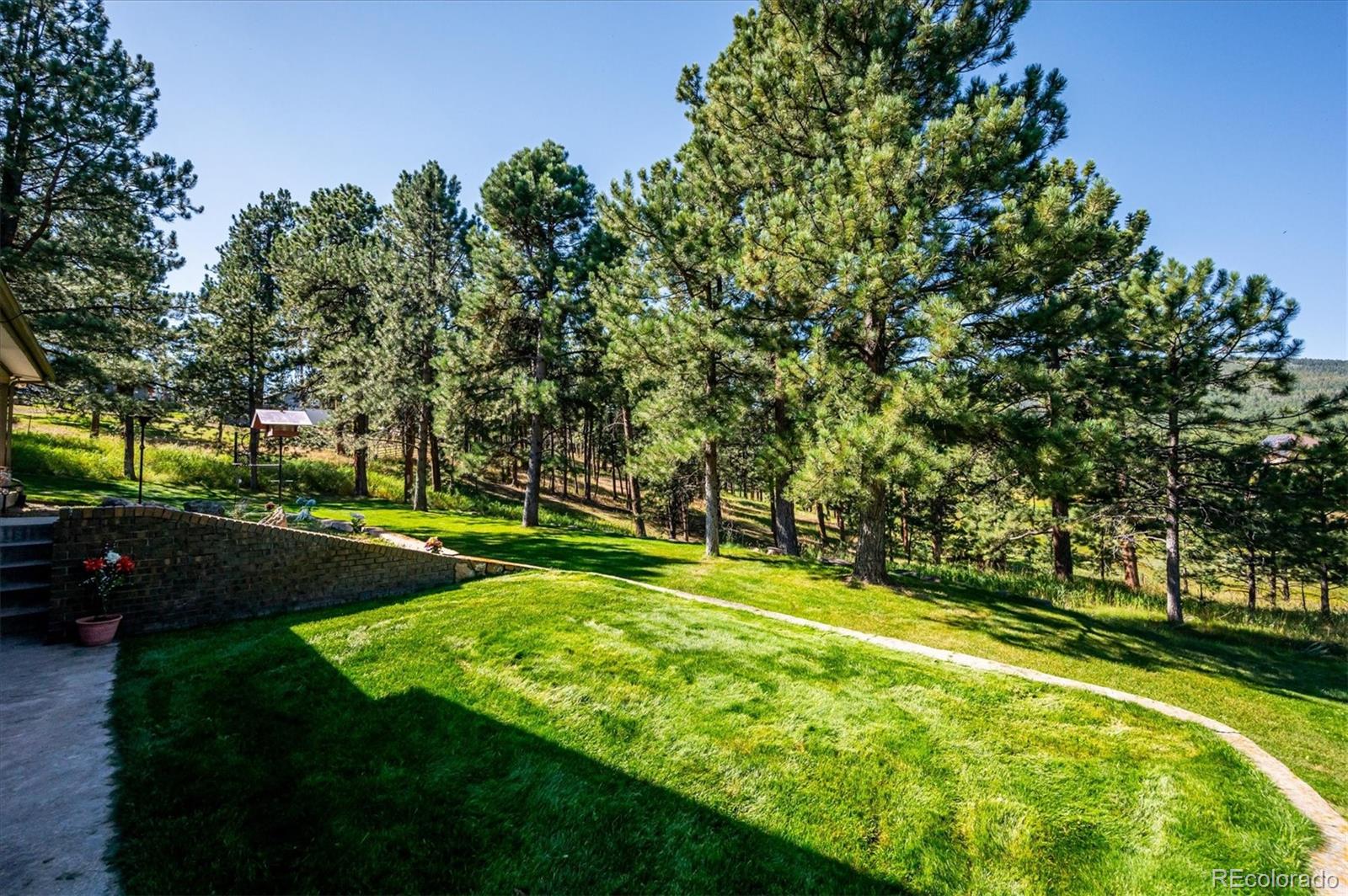 29253 Sue Road Evergreen, CO 80439 - Photo 11 of 38 Gallery Image 11