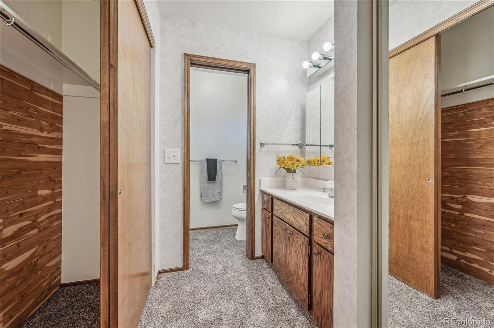29253 Sue Road Evergreen, CO 80439 - Photo 31 of 38 Gallery Image 31