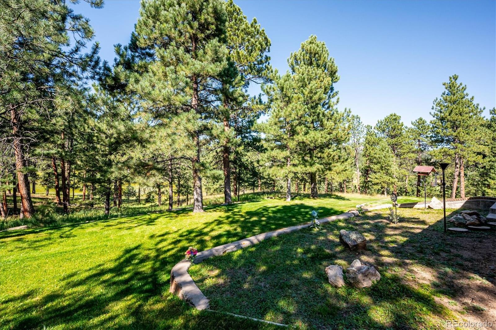29253 Sue Road Evergreen, CO 80439 - Photo 9 of 38 Gallery Image 9