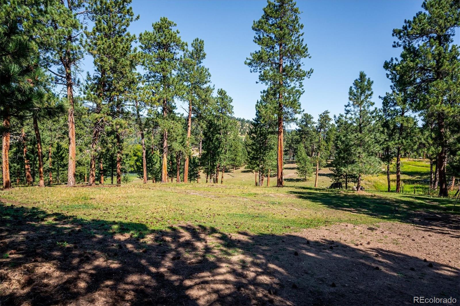 29253 Sue Road Evergreen, CO 80439 - Photo 10 of 38 Gallery Image 10