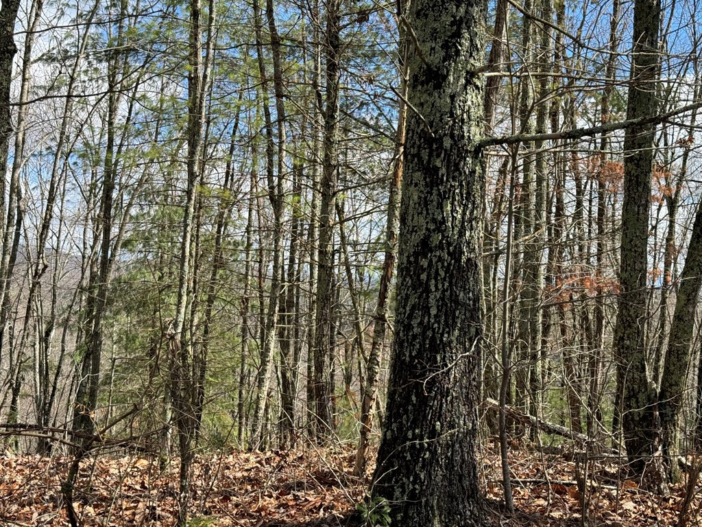 22-24 Rye Field Road Murphy, NC 28906 - Photo 22 of 26