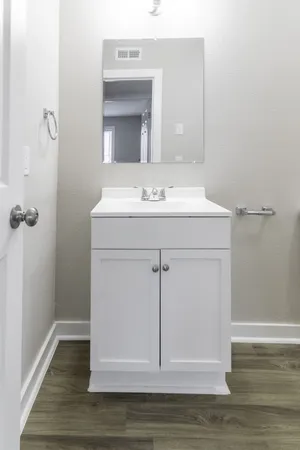 a bathroom with a sink and a mirror