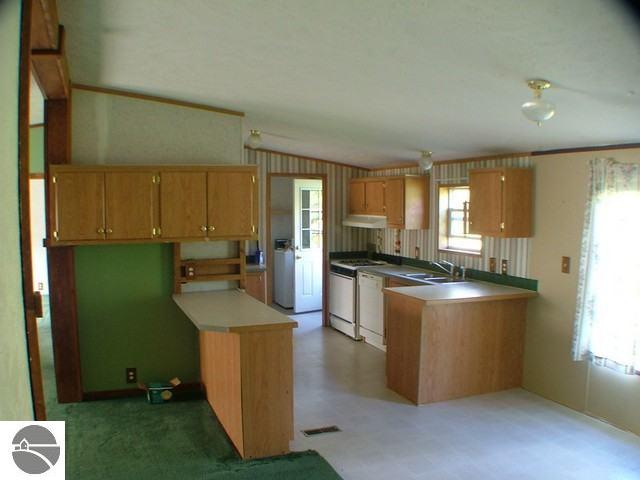 8964 West Elder Road Alden, MI 49612 - Photo 3 of 8 1719287-2.JPG
