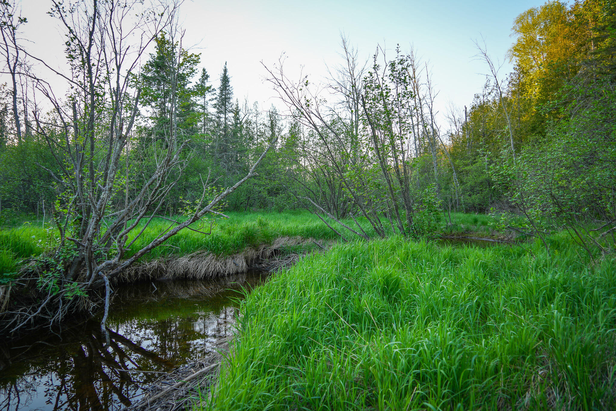 V/l V/l 33rd Road Perkins, MI 49872 - Photo 62 of 70 DSC00103