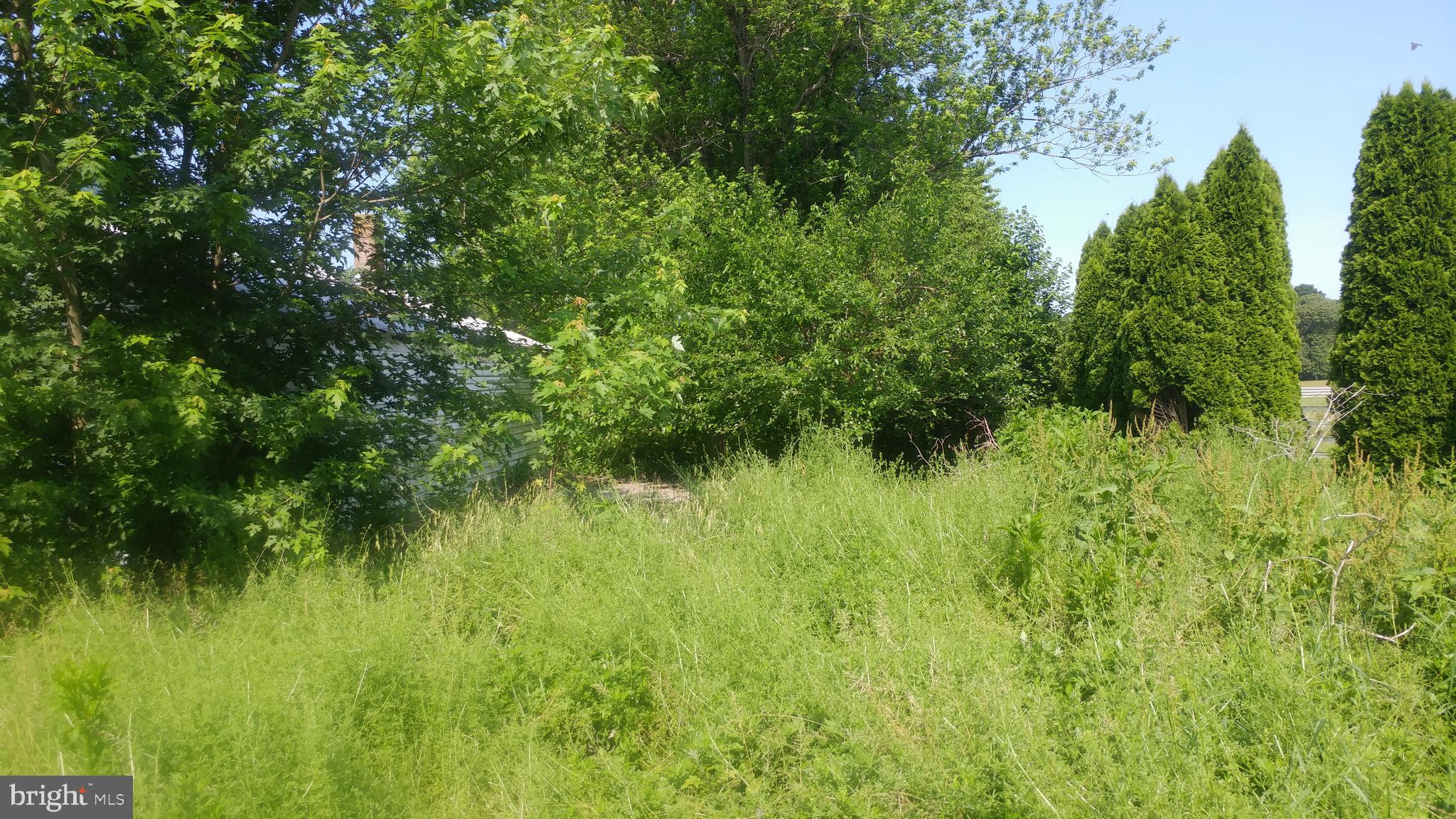 189 Harmony Road Bridgeton, NJ 08302 - Photo 18 of 51
