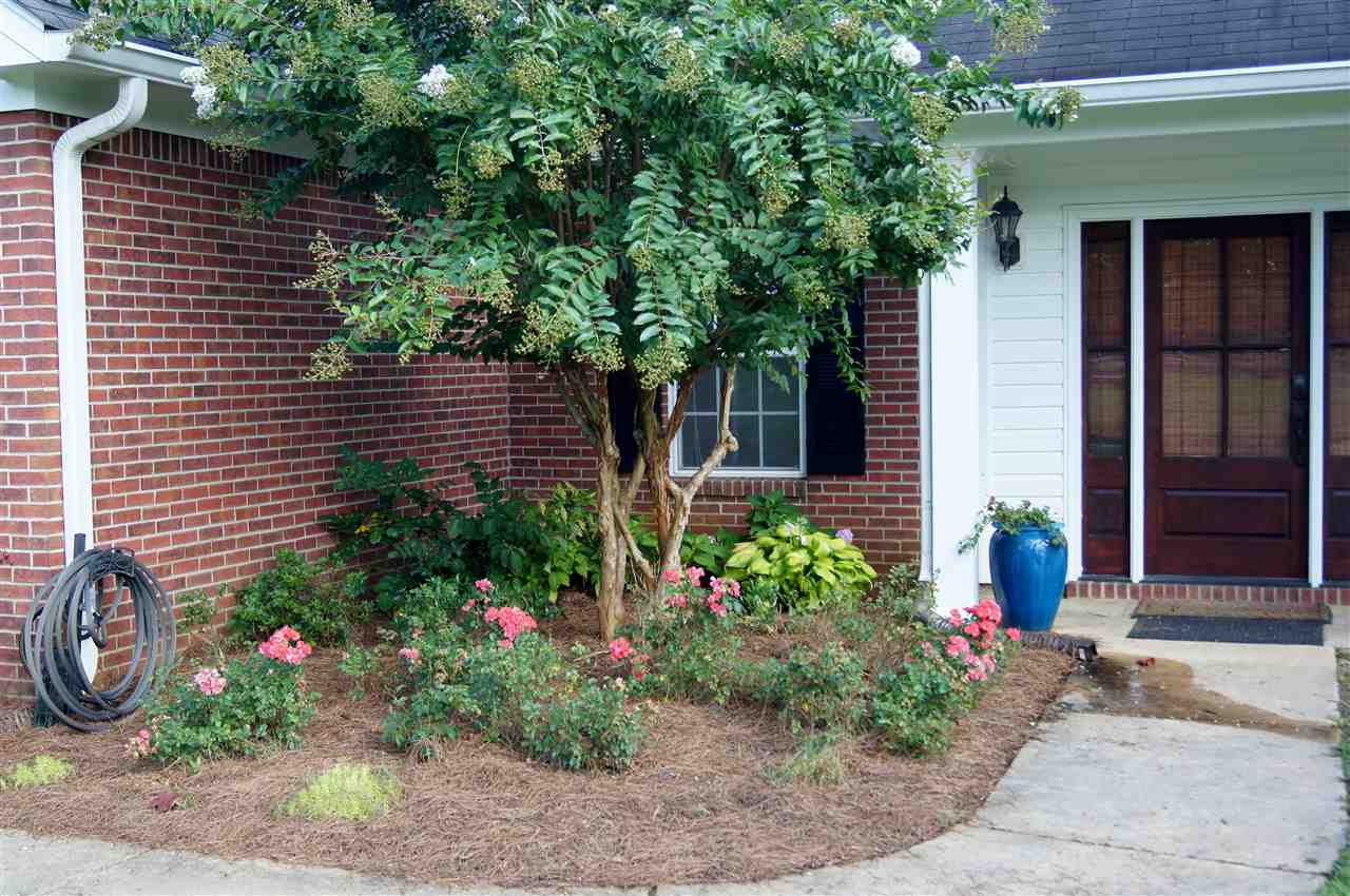 240 Smith-Carr Road Canton, MS 39046 - Photo 7 of 26 Photo 7