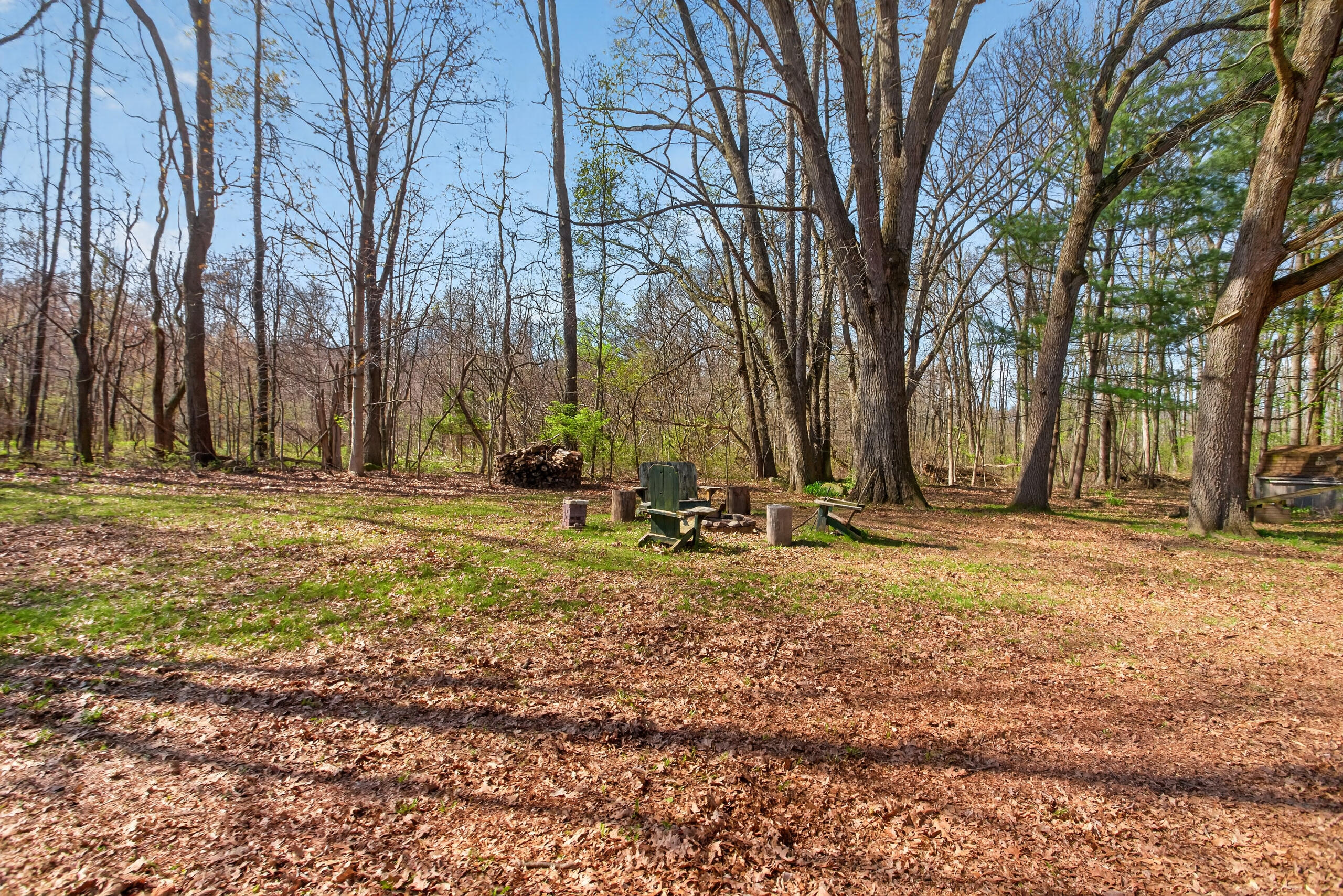 9437 Fisk Road Parma, MI 49269 - Photo 54 of 70 059_0N0A5301
