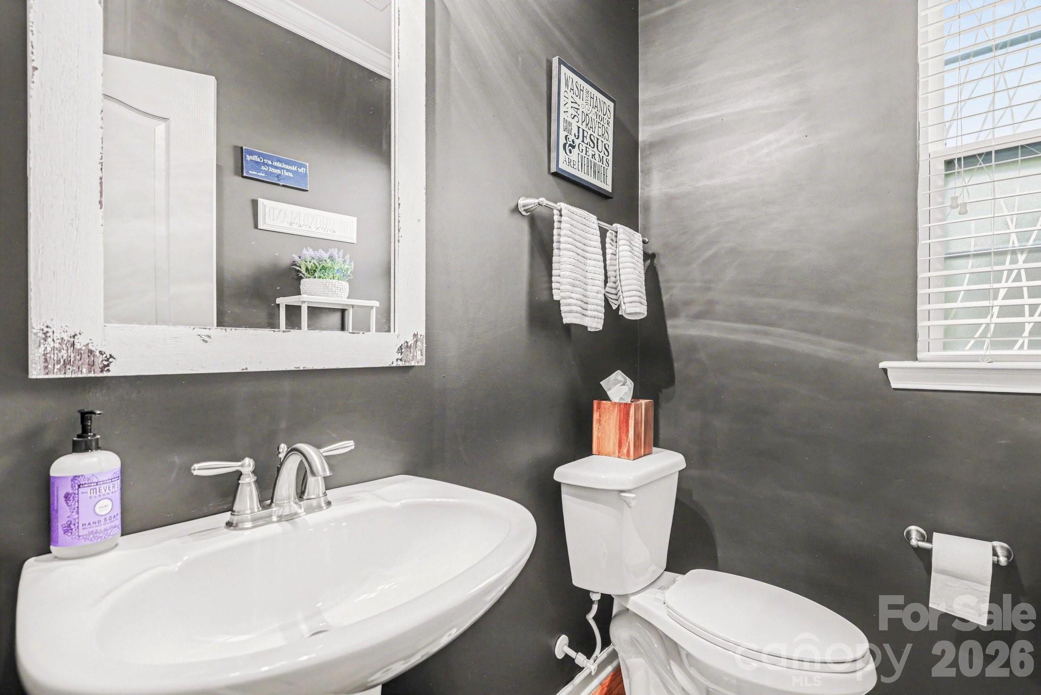 5153 Waterloo Drive Tega Cay, SC 29708 - Photo 25 of 29 a bathroom with a sink a mirror and a toilet