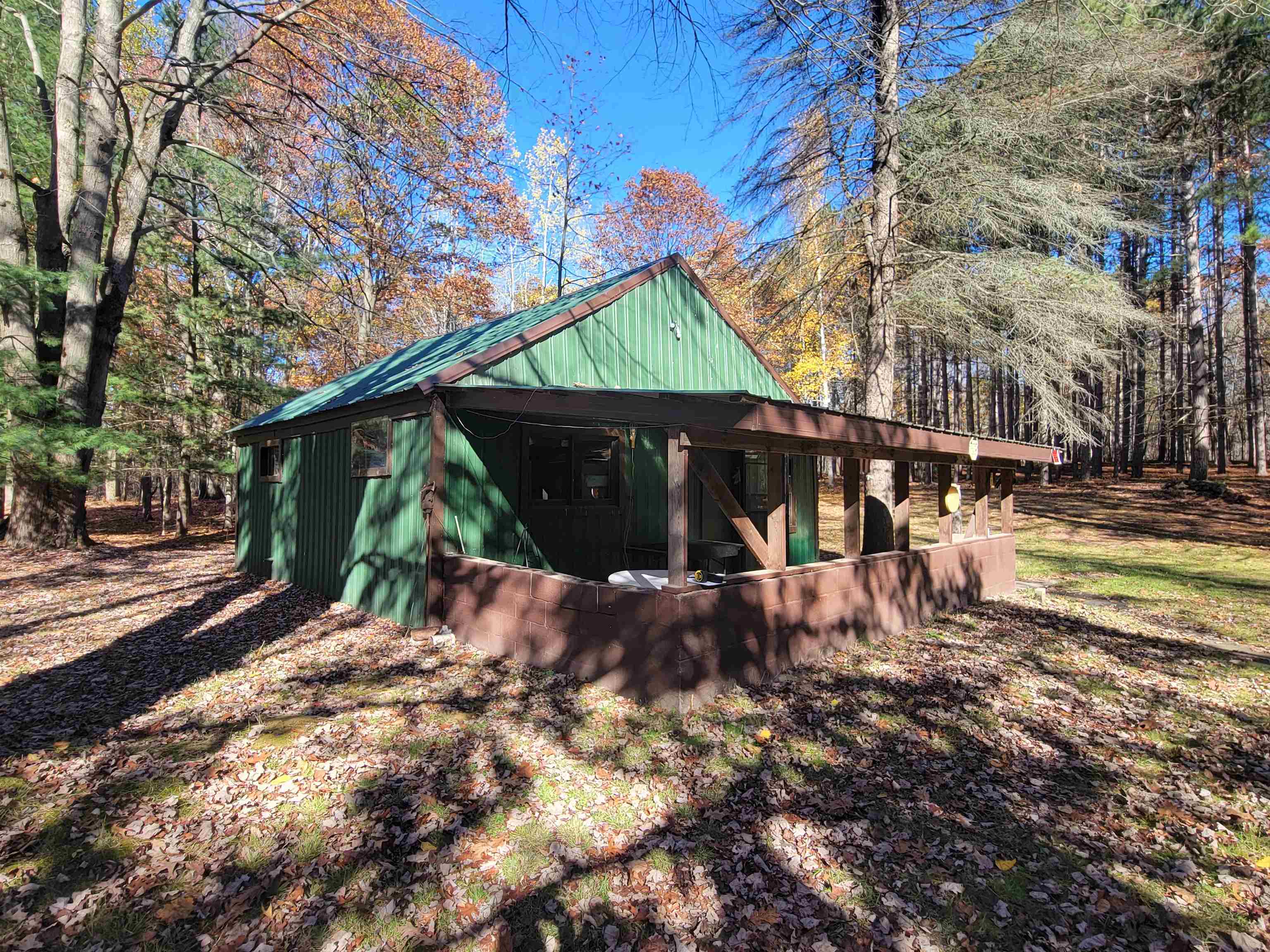 3385 Jones Road Rhodes, MI 48652 - Photo 43 of 56