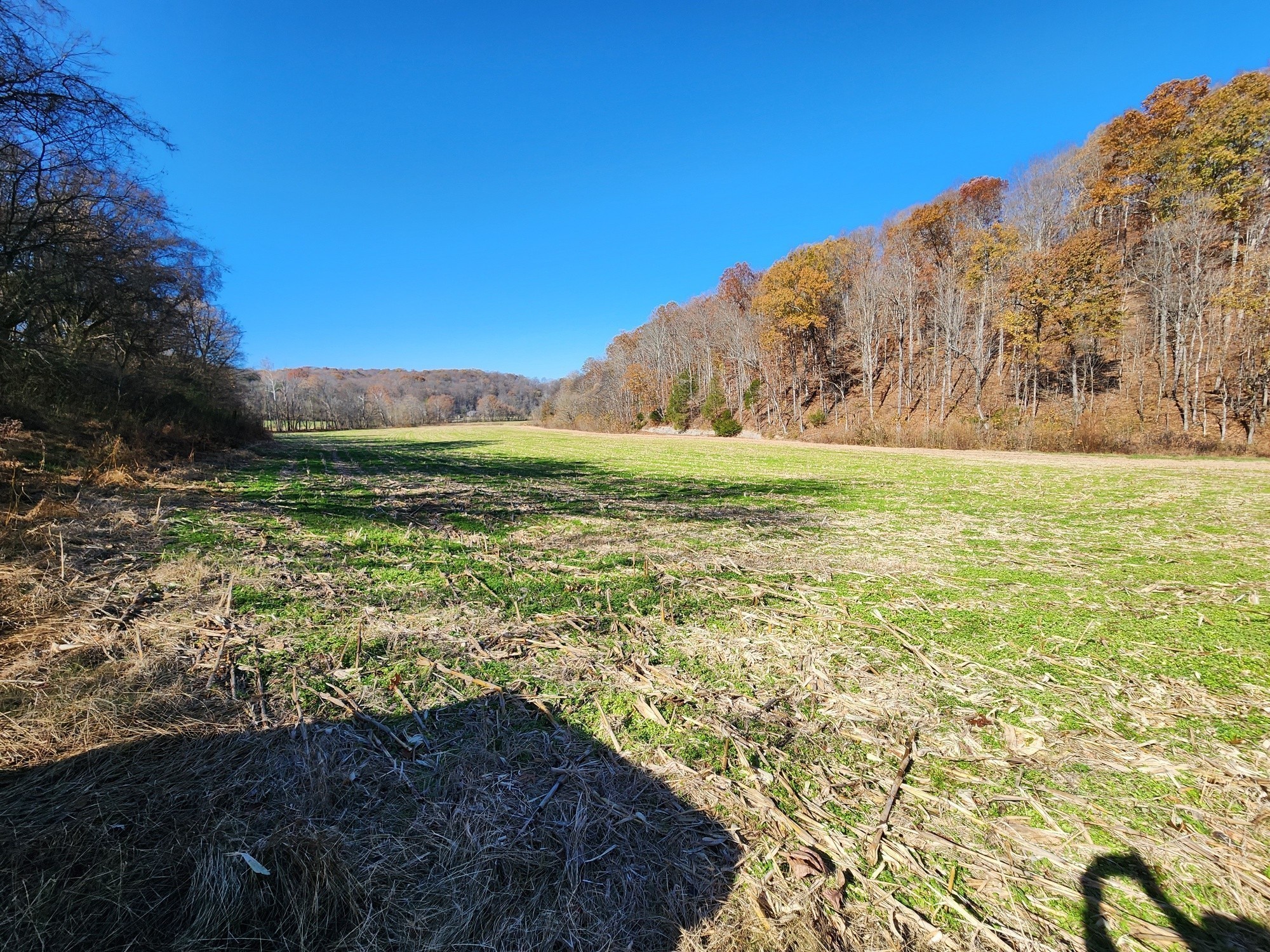 0 Taurus Farm Road Lafayette, TN 37083 - Photo 62 of 67 Gallery Image 62