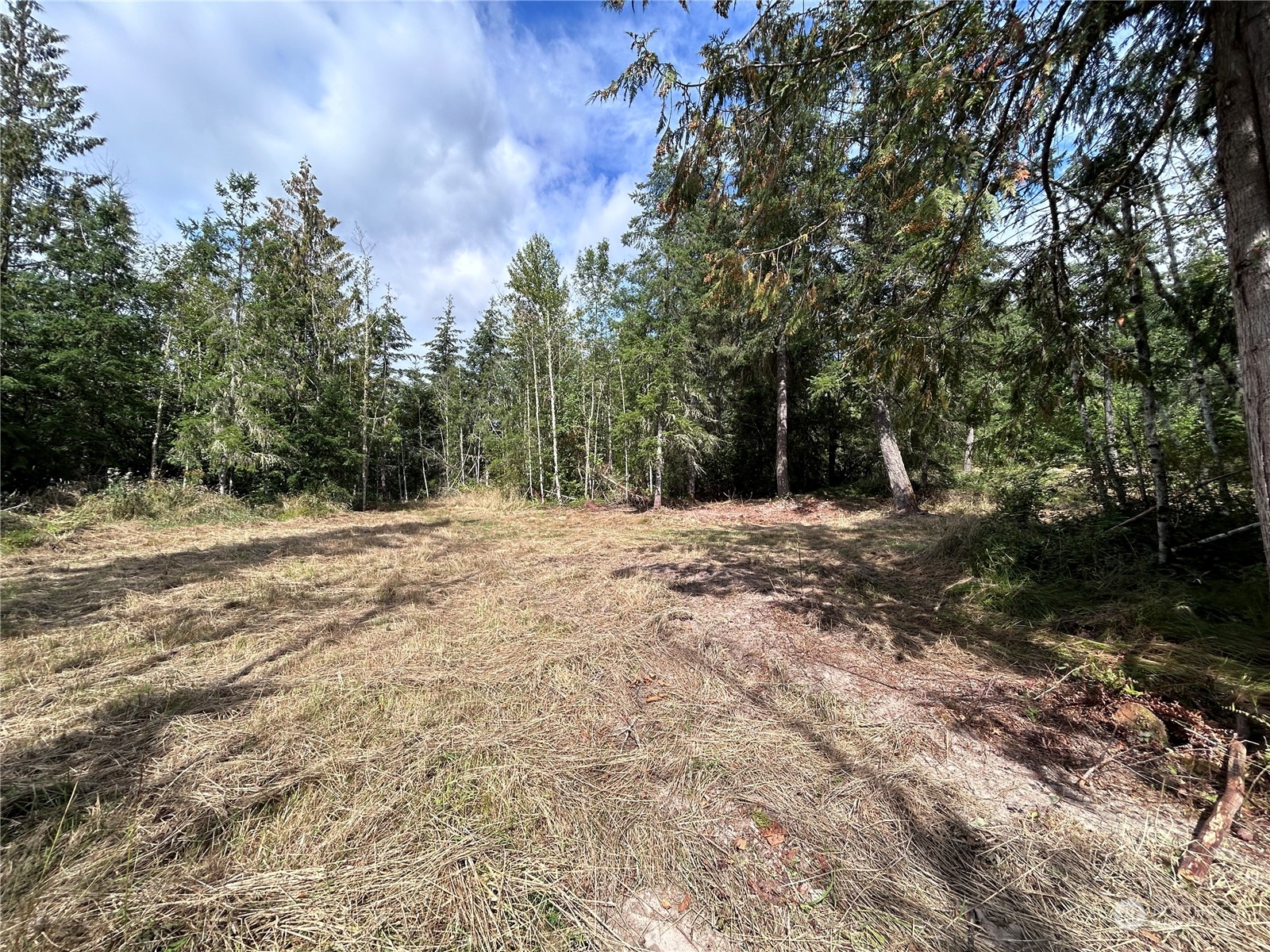 647 George Taylor Road Silverlake, WA 98645 - Photo 13 of 25 Gallery Image 13