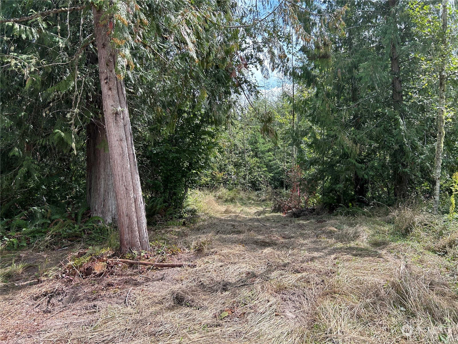 647 George Taylor Road Silverlake, WA 98645 - Photo 14 of 25 Gallery Image 14