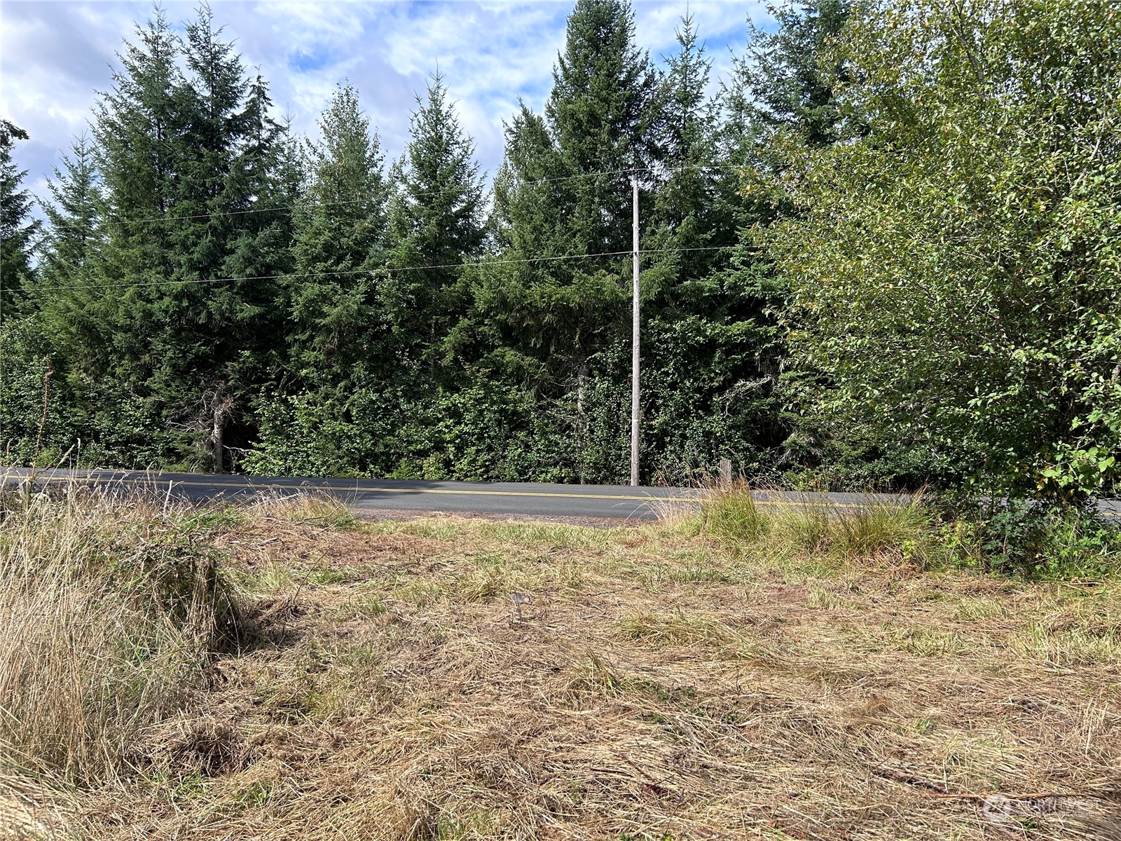 647 George Taylor Road Silverlake, WA 98645 - Photo 2 of 25 Gallery Image 2