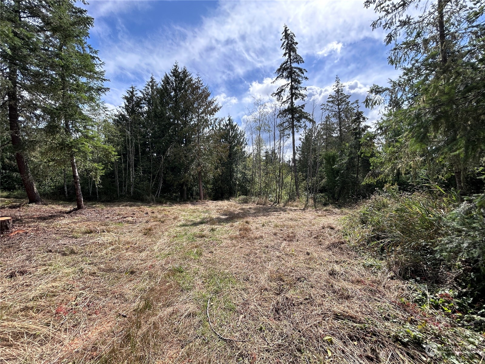 647 George Taylor Road Silverlake, WA 98645 - Photo 3 of 25 Gallery Image 3