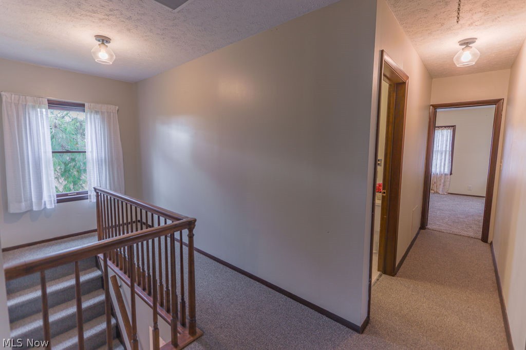 51883 Telegraph Road Amherst, OH 44001 - Photo 7 of 49 Hall with a textured ceiling and carpet flooring