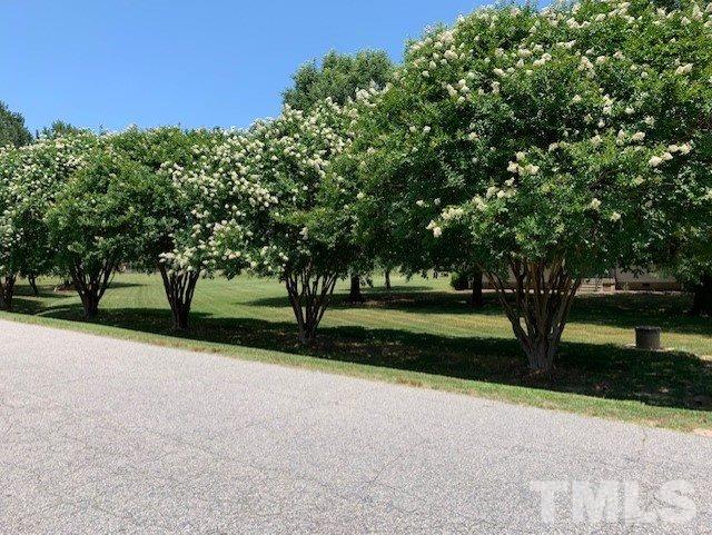 4101 Old Lewis Farm Road Raleigh, NC 27604 - Photo 28 of 30