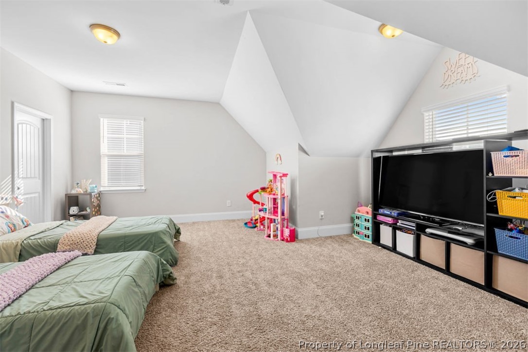 192 Haynes Church Road Raeford, NC 28376 - Photo 19 of 31