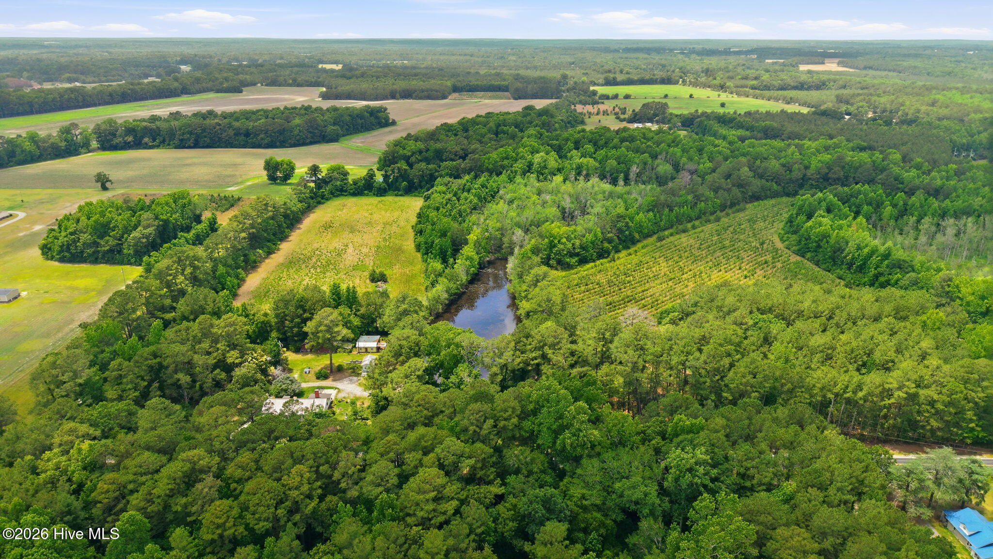 17060 St Johns Church Road Laurel Hill, NC 28351 - Photo 60 of 62